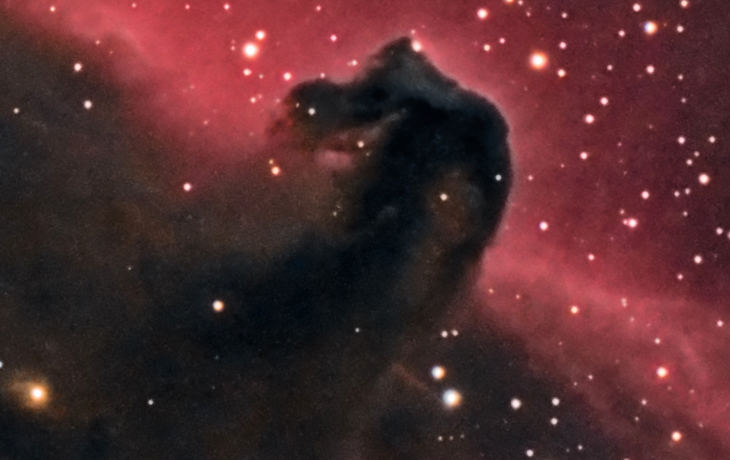Horsehead Crop - Horsehead Dark Nebula - Crop