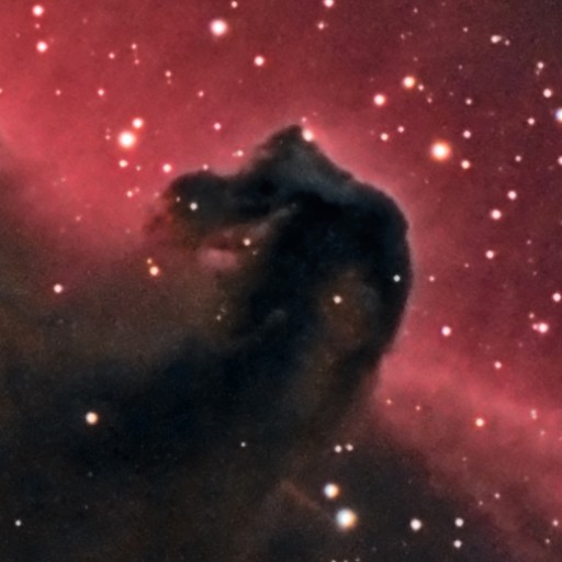 Horsehead and Flame Nebula