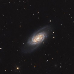 NGC 2903 Galaxy
