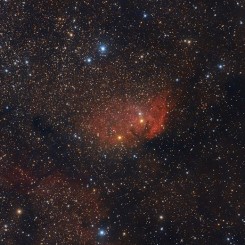 Tulip nebula