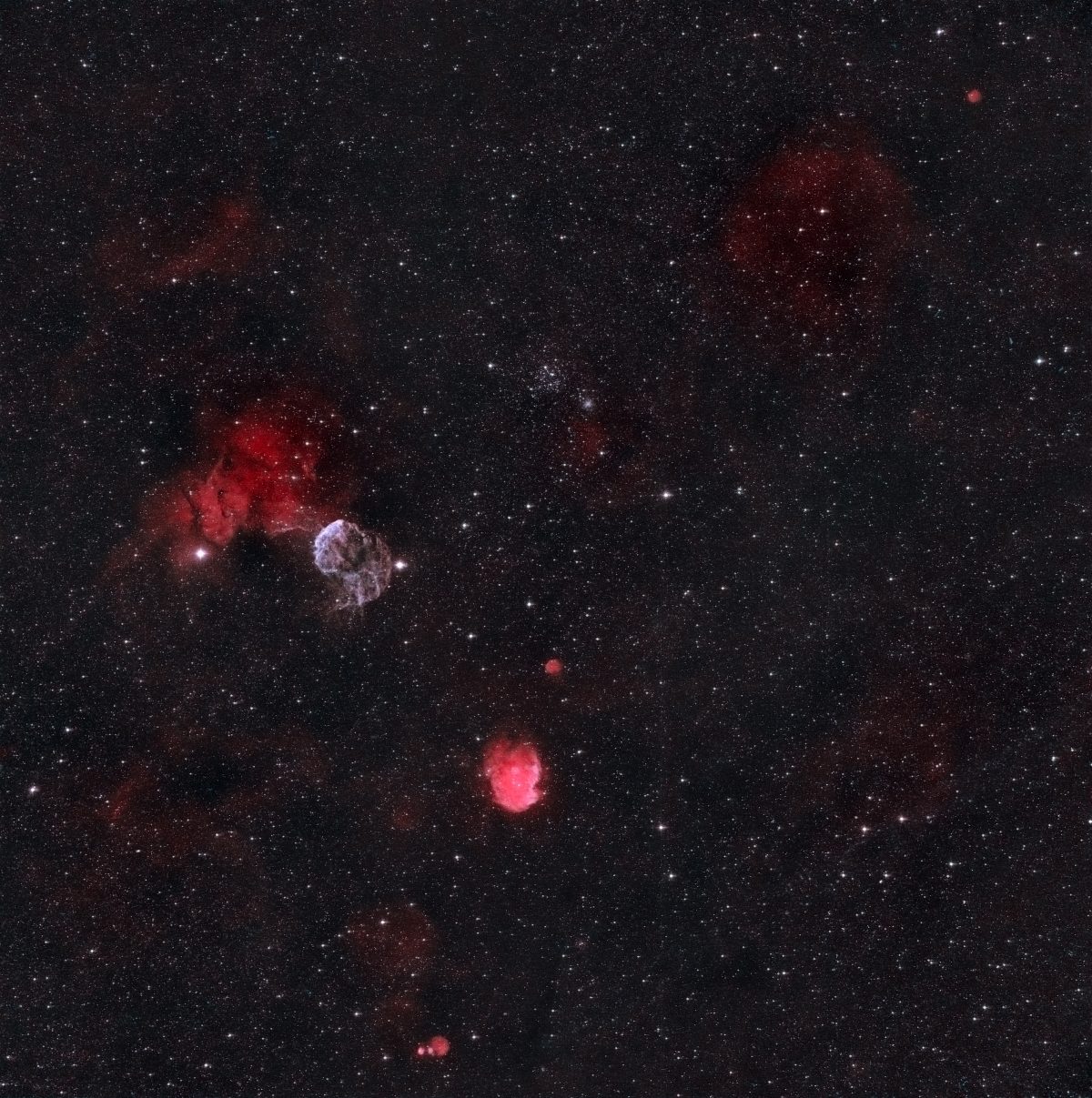 IC443 Jellyfish & NGC2174 Monkey Head Nebulae
