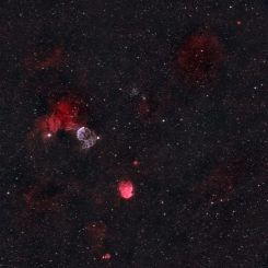 IC443 Jellyfish & NGC2174 Monkey Head Nebulae