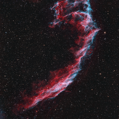 Eastern Veil 245x245 - NGC6888 Brain Nebula