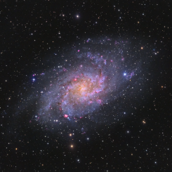 M 33 new 1 1 245x245 - Aries galaxy group