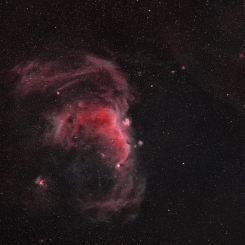 Seagull 1 245x245 - NGC3718, NGC3729, Hickson Group 56