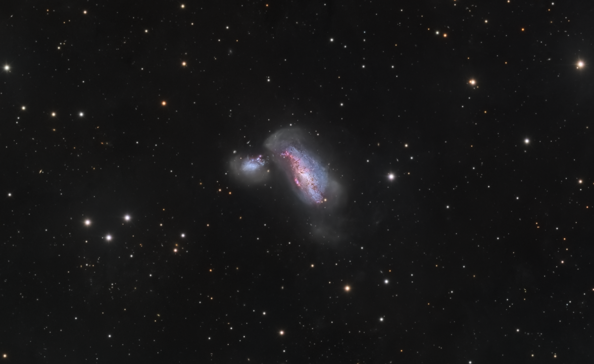 NGC 4490 crop e859895a aba2 4ffc b2bb e544086f7b74 1200x735 - NGC 4490/4485 COCOON GALAXIES