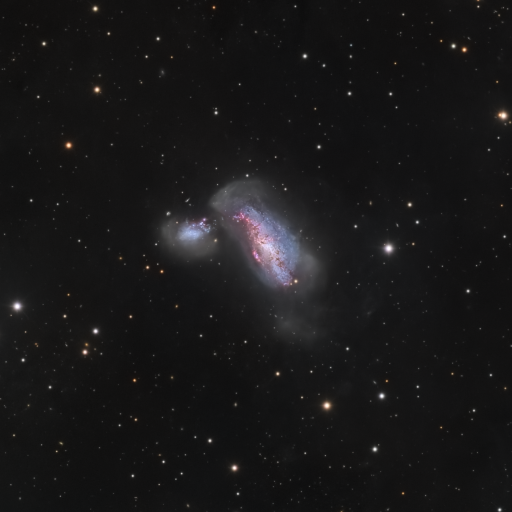 NGC 4490 crop e859895a aba2 4ffc b2bb e544086f7b74 512x512 - NGC 4490/4485 COCOON GALAXIES