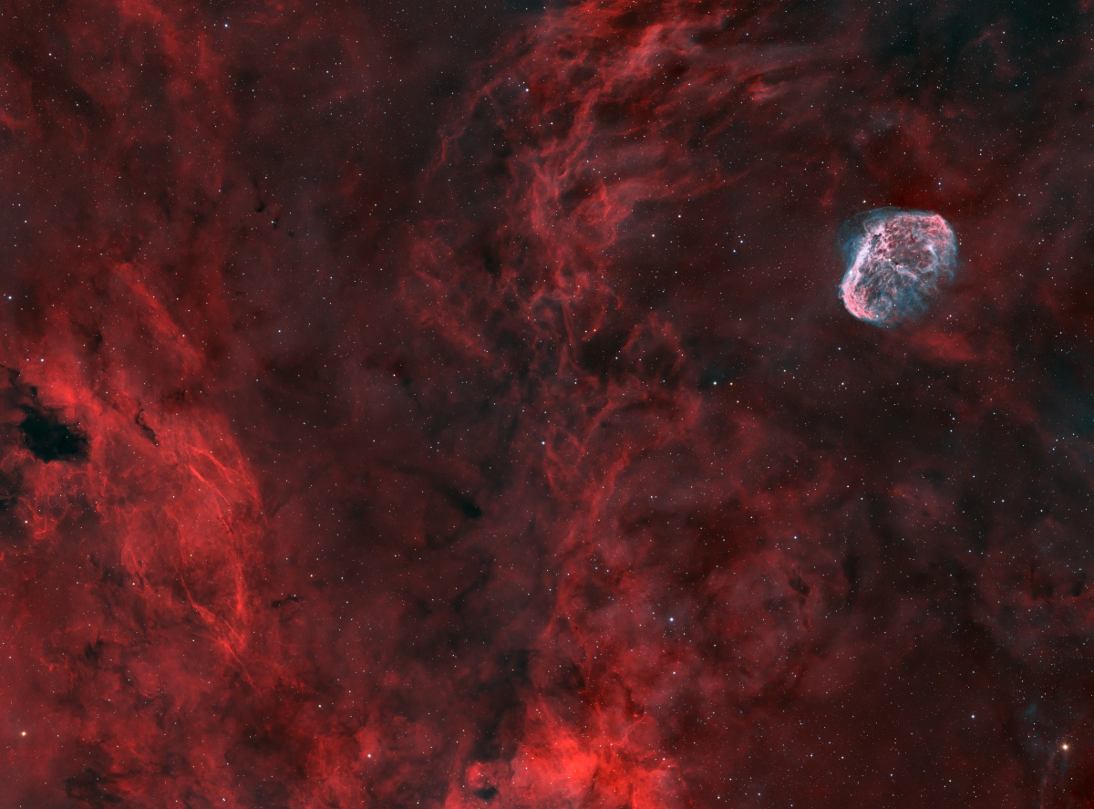 Brain mosaic small 1200x887 - BRAIN NEBULA PANEL