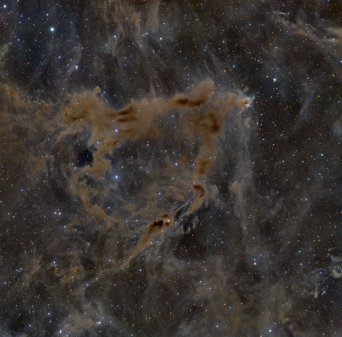 hh 215 1200x1185 - HH 215 Gyulbudaghian's Nebula