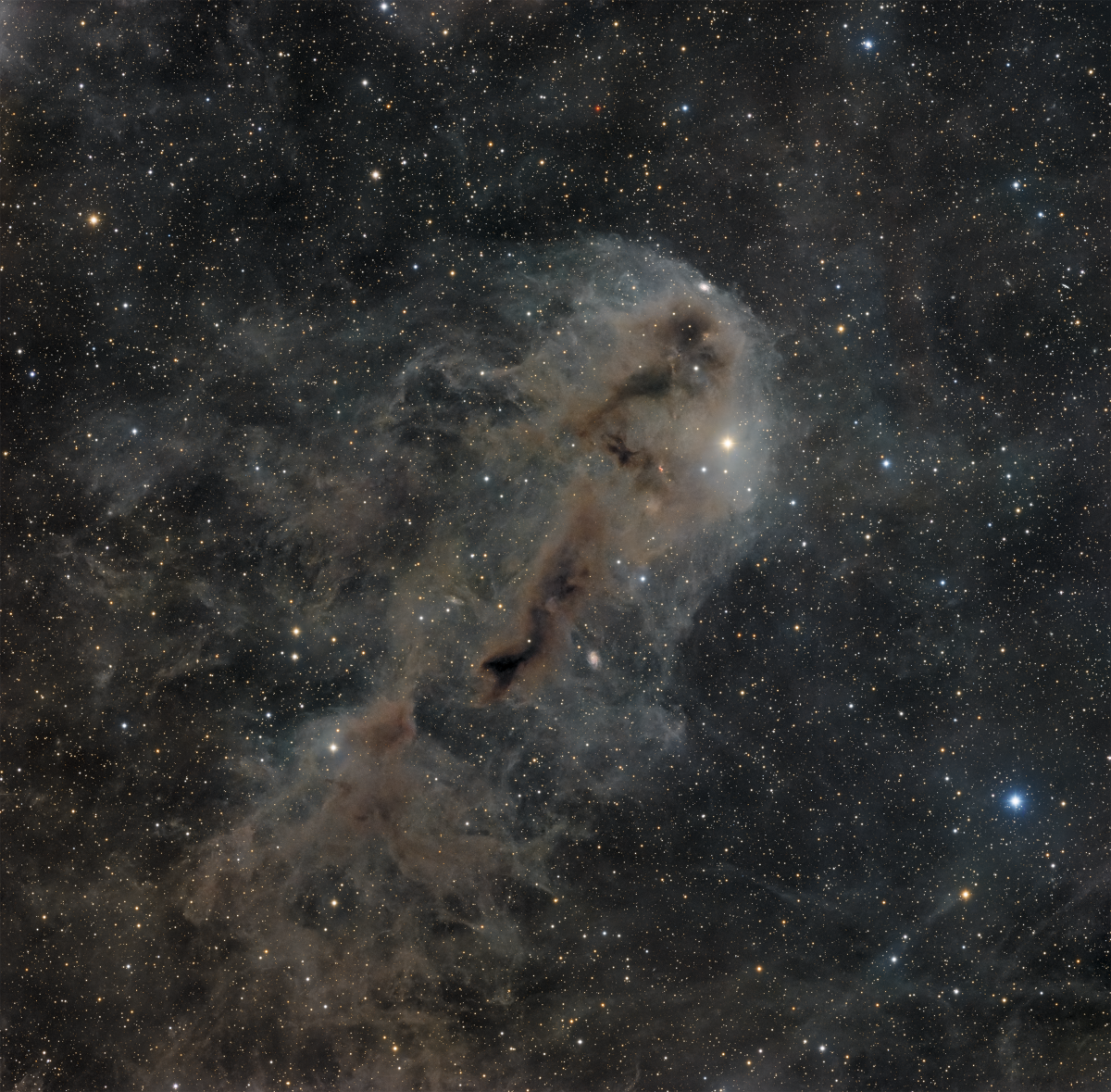LDN 1251 1200x1179 - LDN 1251 rotten fish nebula