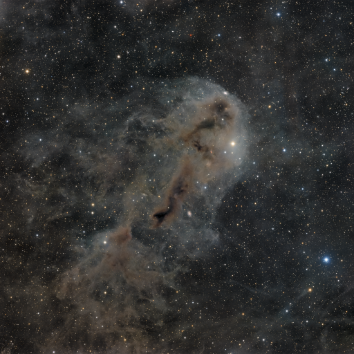 LDN 1251 512x512 - LDN 1251 rotten fish nebula