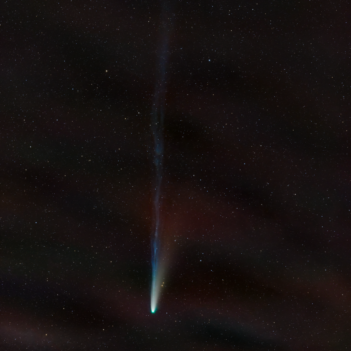 lemmon 200 1200x1200 - C/2025 A6 LEMMON COMET WIDE