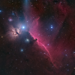 horse 245x245 - C/2025 A6 LEMMON COMET WIDE