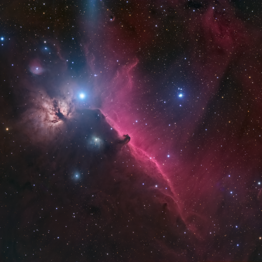 horse 512x512 - HORSE HEAD REGION