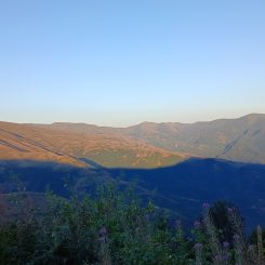 20260815 190308 245x245 - SPSP - TRI DANA - TRI ČLANA