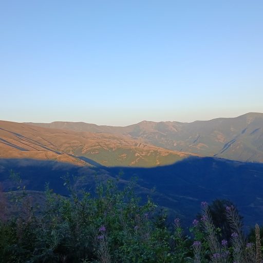 20260815 190308 512x512 - SPSP - TRI DANA - TRI ČLANA
