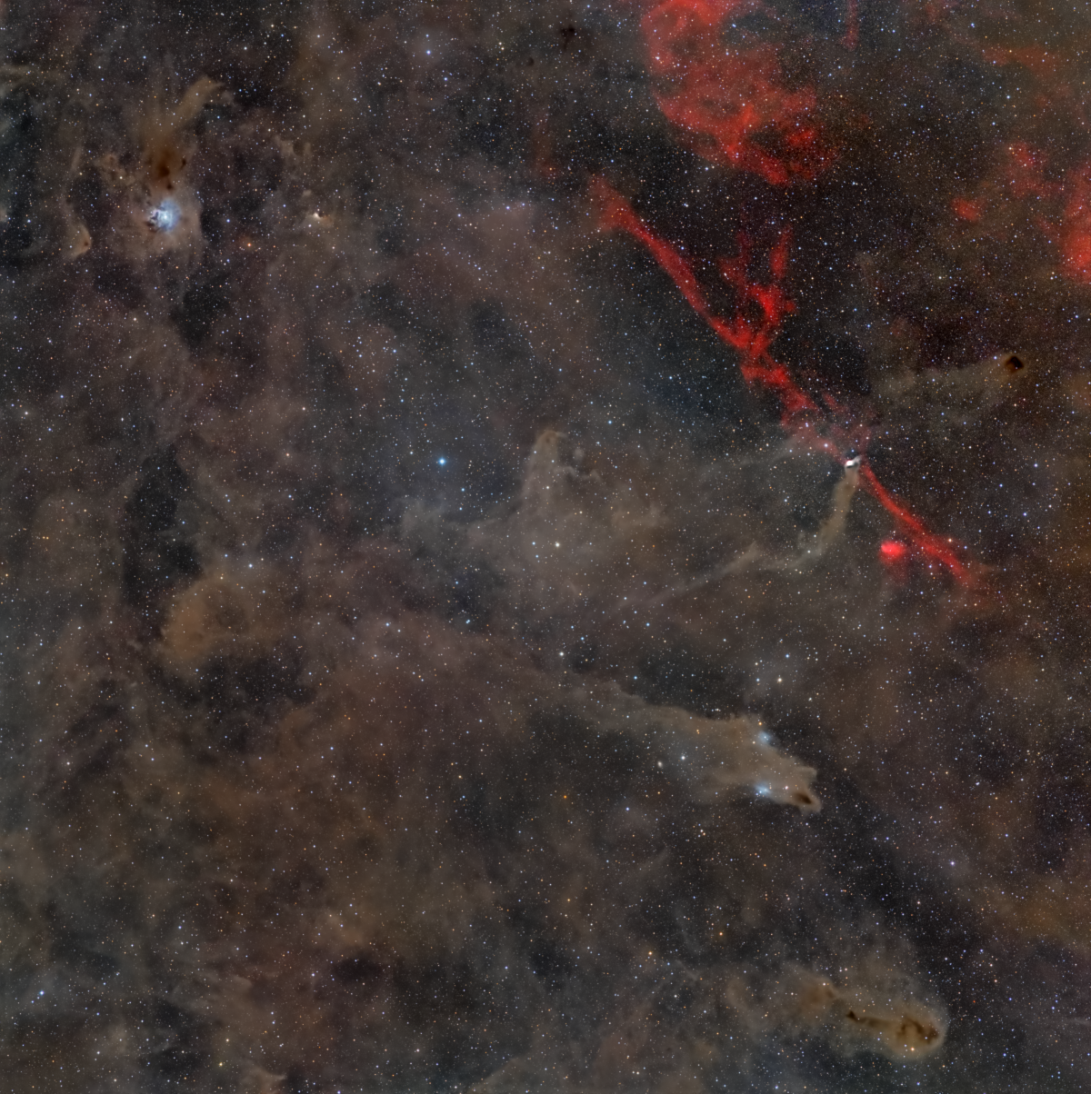 CEPHEUS REGION WIDE cepheus wide 1200x1204 cepheus wide 1200x1204 - CEPHEUS REGION WIDE
