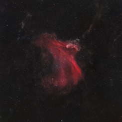gecko wide 245x245 - NGC 7497 GALAXY REGION